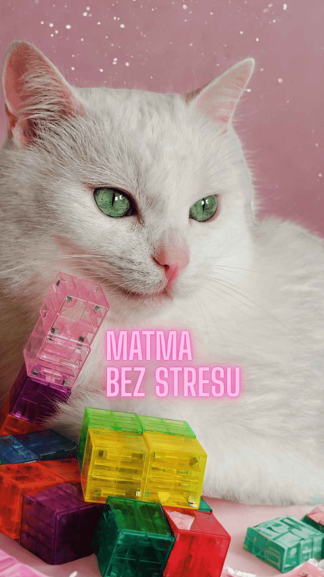 MATEMATYKA bez stresu - dla dzieci i młodzieży, którzy nie ogarniają :) — Korepetycje z matematyki online