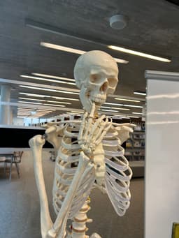 Biologia - szkoła podstawowa i średnia, rozszerzenie i podstawa — Korepetycje Biologia online